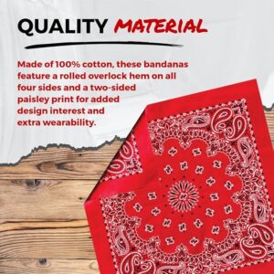 Paisley Bandana USA