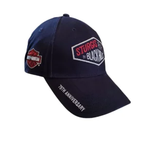 Harley Davidson Sturgis