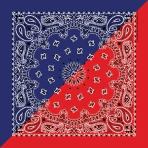 'Navy & Red Split Paisley' Bandana